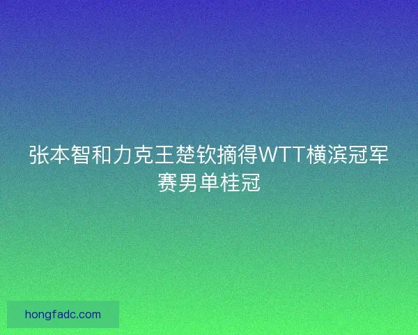 张本智和力克王楚钦摘得WTT横滨冠军赛男单桂冠